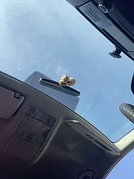 MerlinDave – Live XXX-chat