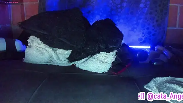 Cata-angel live XXX chat