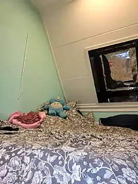 Doggyray44n Webbikameraesitys