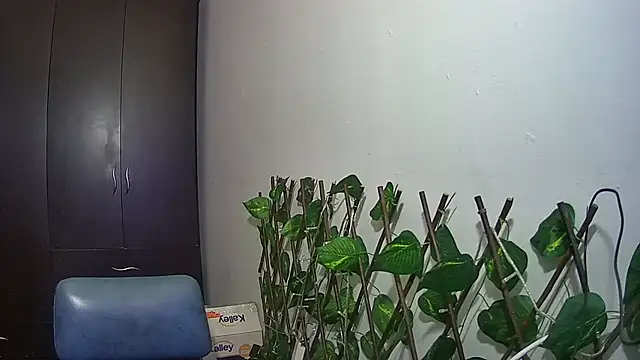 nicoltatiana_ Webcam Show