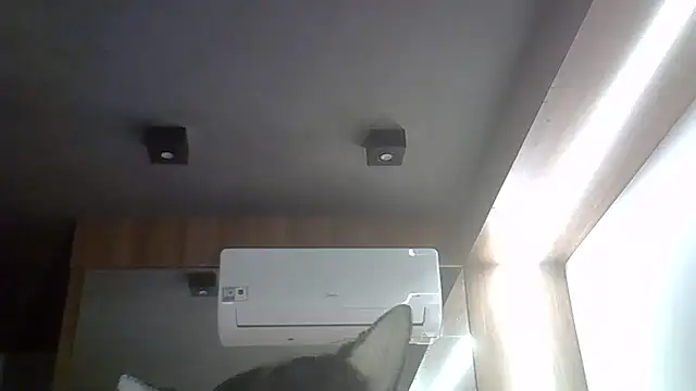 SkinnyKitten Adlı Modelin Canlı XXX Sohbeti