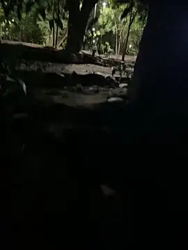 Datoka_adrenaline: διαδικτυακό σόου στην κάμερα