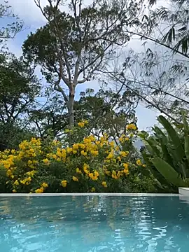 Živý XXX chat Monique_Celeste