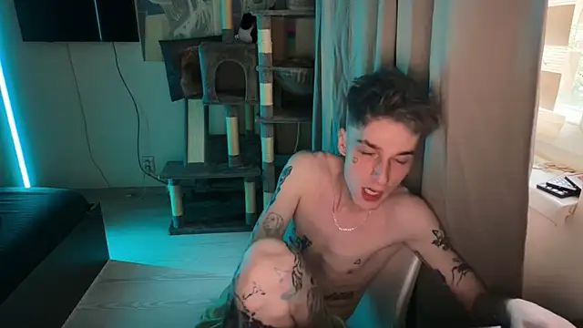 davesinner Show Webcam