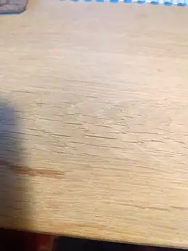 Buggemann Webcam Show