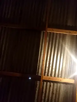 عرض كام Lexwelll