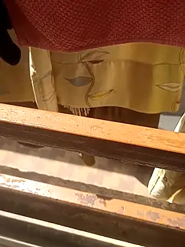 Gujjuuboysのウェブカメラショー