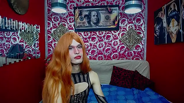 عرض كام shannentrans