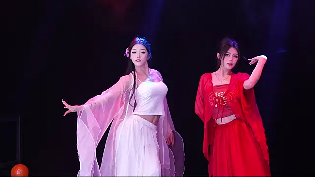 RV-525-n Webbikameraesitys