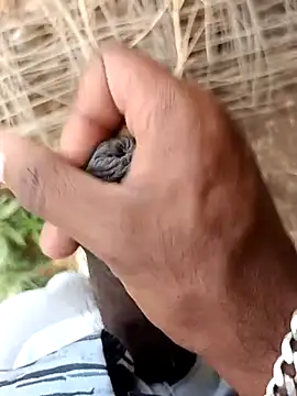 Chat XXX en directo de sanju_5418