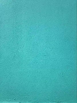 Shine_Mai 网络视讯表演