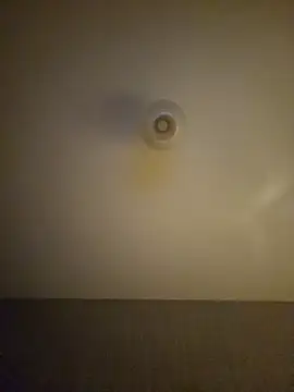 Argentino1977 Webcam Show