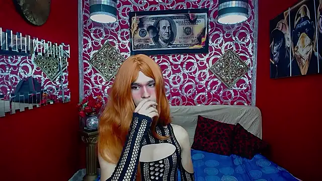 عرض كام shannentrans