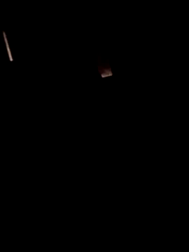 AceticPinscher: διαδικτυακό σόου στην κάμερα