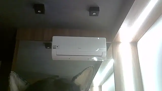 Show de SkinnyKitten na webcam