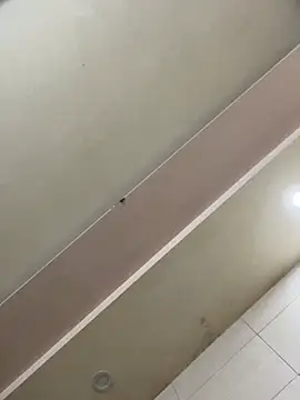 Chatroom XXX en direct de Liness101