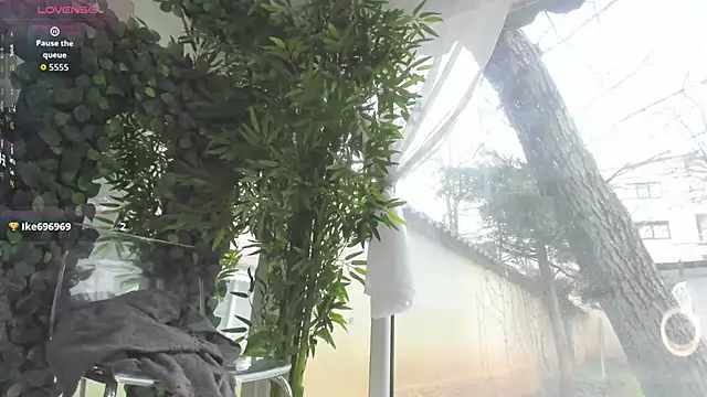 Lexi_Storm live XXX chat