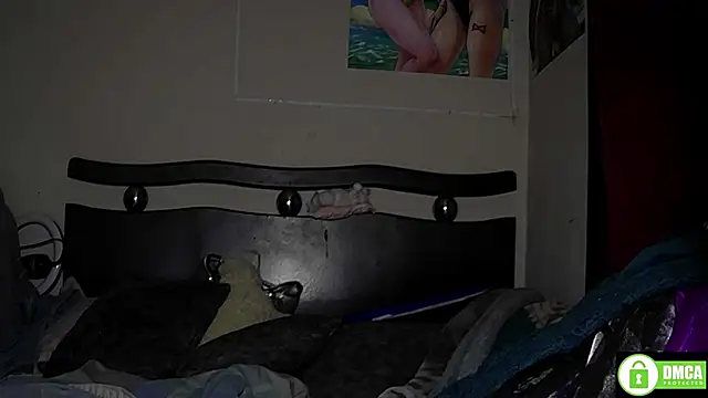 Czat XXX na żywo – Star_Eli