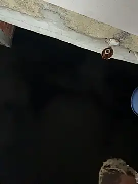 PrincesLeoのウェブカメラショー