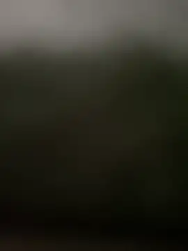 dung17486 在線直播表演