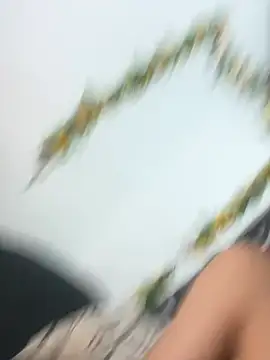 Show webcam de militoveruss2