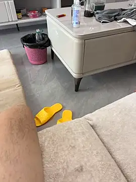 Show webcam de qwe522522