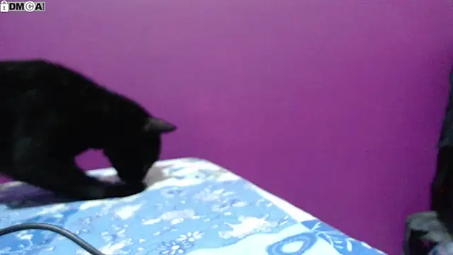 AlinaWoolf_ Live XXX Chat