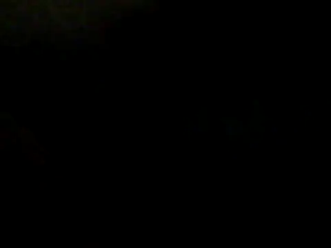 Pokazy przed kamerką – Silencio26