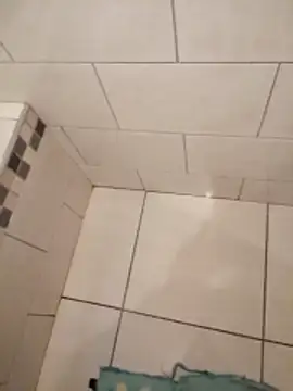 Pertunjukan Kamera Web AdamwithEve