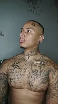 Chat XXX Live David_tatto1