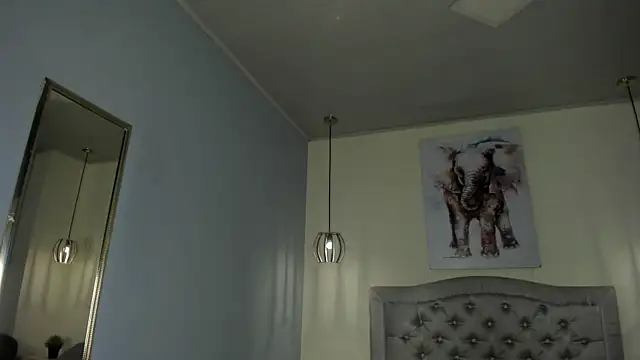 โชว์เว็บแคมของ ayshel__