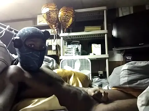 ProveYourLoyalty2 webkamerás műsora