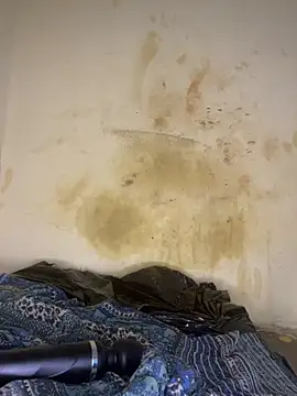 دردشة AngelaZamera الجنسية المباشرة