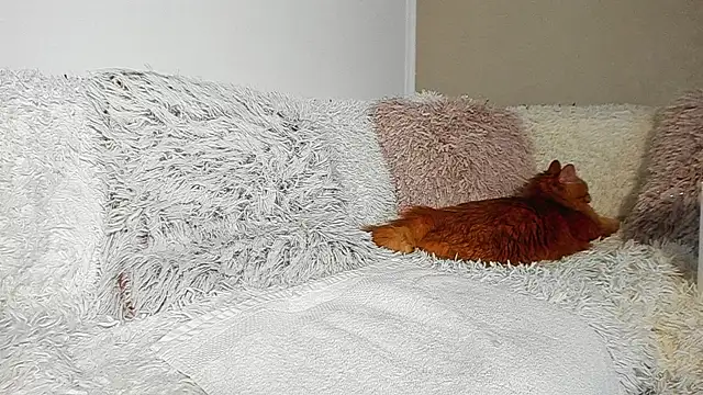 BrianaDiamondXXX Chat XXX live