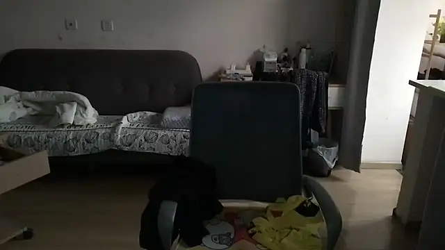 Show webcam de wang930115