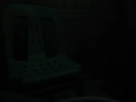 manilafoxts 网络视讯表演