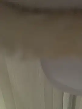 Frosl Adlı Modelin Canlı XXX Sohbeti