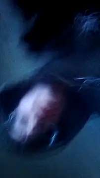 PerfeckPenis138 Pertunjukan Webcam