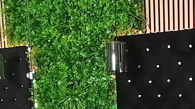 Chat +18 de InannaStar ao vivo