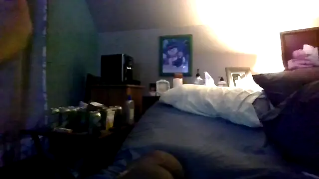 Bigloggz webkamerás műsora