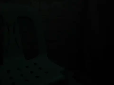 manilafoxtsのウェブカメラショー