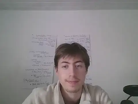 VelvetRagottiOG 网络视讯表演