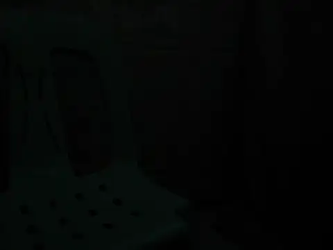 Show modela manilafoxts na web-kameri