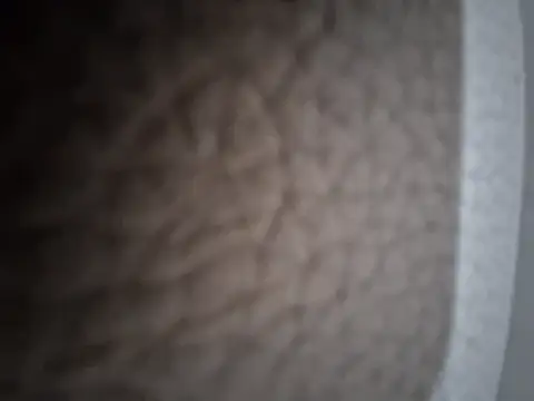 Monella52 Show Webcam