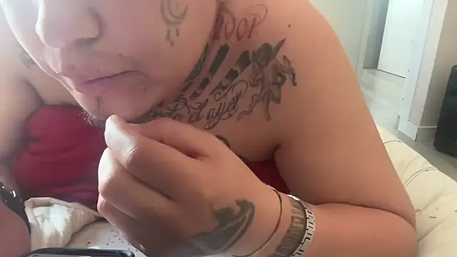 Show webcam de kelokke