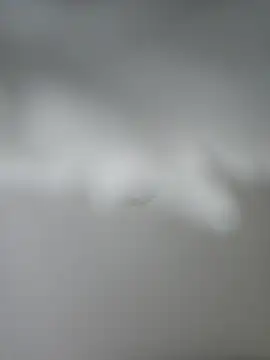 theblondecocklover Live XXX Chat