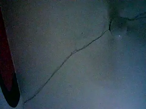 Webkamerová show naomitrans32