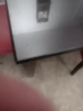 AceticPinscher Live XXX-chat