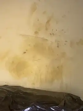 AngelaZamera's Live XXX Chat