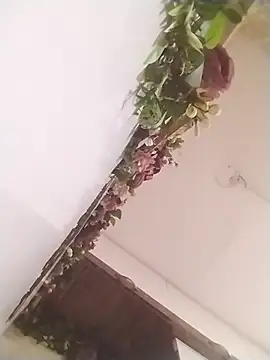 Živý XXX chat jenilmax